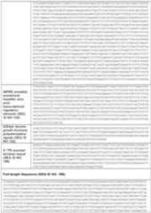 Figure imgf000095_0001