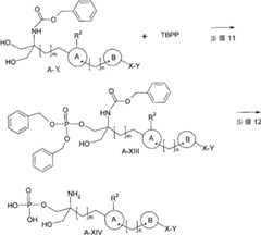 Figure GSA00000114614400172