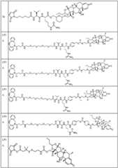 Figure BDA0002889616220001951