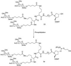 Figure imgf000162_0001