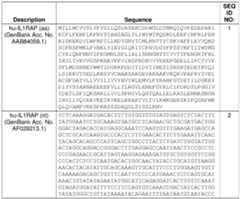 Figure imgf000029_0001
