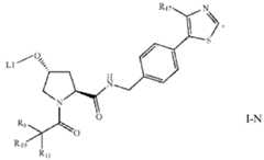 Figure imgf000247_0001