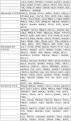 Figure BDA0004033970230003861