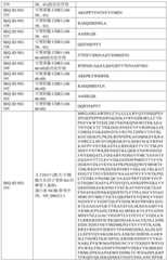 Figure BDA0003429348370000861