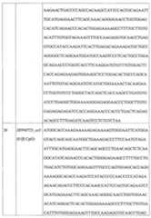 Figure 113124401-A0202-12-0060-21