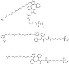 Figure imgf000029_0001