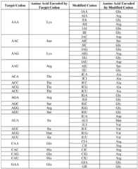 Figure imgf000046_0001