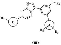 Figure PCTCN2019130053-appb-000023