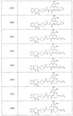 Figure A2006800095860018C1