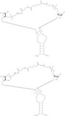 Figure US12338436-20250624-C00379