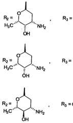 Figure imgf000008_0002