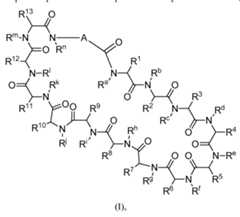 Figure imgf000005_0001