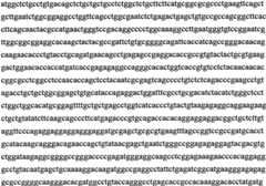 Figure BPA0000291811450000093