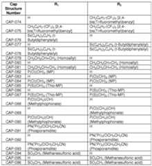 Figure imgf000032_0001