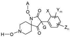 Figure imgf000011_0001