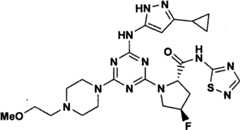 Figure GPA00001066806500772