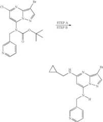 Figure US07119200-20061010-C02111