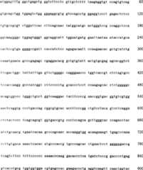 Figure C03824846D00982