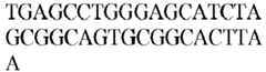 Figure imgb0549