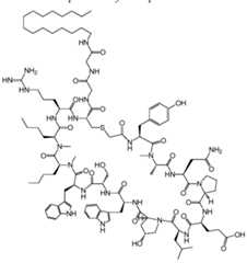 Figure imgf000254_0001