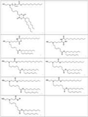 Figure imgf000025_0001