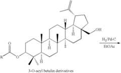 Figure US07365221-20080429-C00015