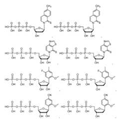 Figure imgf000048_0001