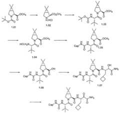 Figure imgf000403_0001