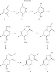 Figure US07317012-20080108-C00007