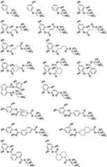 Figure 0007468295000116