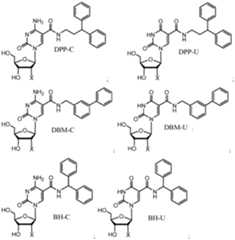 Figure imgf000082_0001