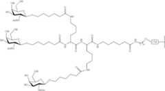 Figure US10793862-20201006-C00232