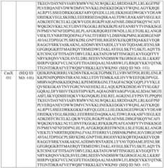 Figure BDA0003627552160002231