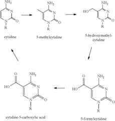 Figure US11332759-20220517-C00001