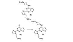 Figure imgf000212_0001