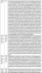 Figure BDA0004033970230004701