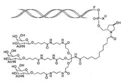 Figure 107123784-A0305-02-0254-17