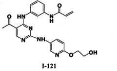 Figure BPA00001280125601991