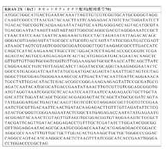 Figure 2023541108000044