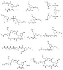 Figure 2023113843000018