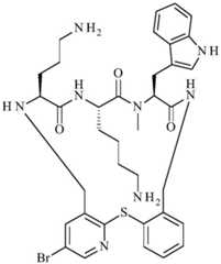 Figure BDA0001640213710005691