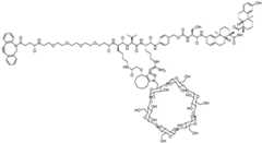 Figure BDA0002889616220003021