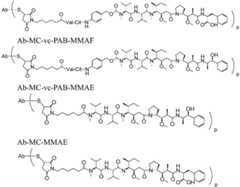 Figure BDA0001242050620000793