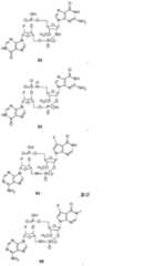 Figure 0007317014000176