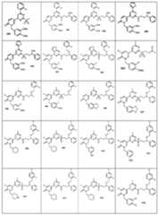 Figure 0006990229000026