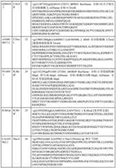 Figure BDA0000429500830000211