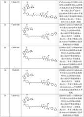 Figure BDA0002964098100002621