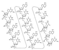 Figure 0007422816000010