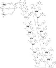 Figure US10793862-20201006-C00287