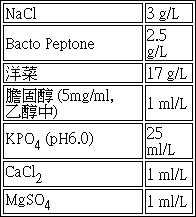 Figure 106130931-A0304-0001